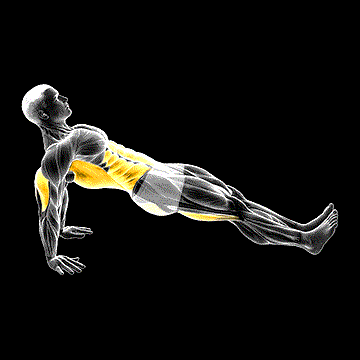 Reverse Plank demonstration