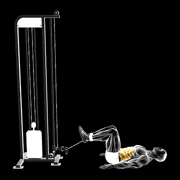 Cable Reverse Crunch demonstration