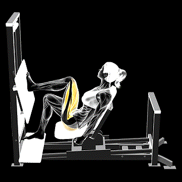 Lever Horizontal One-leg Press demonstration