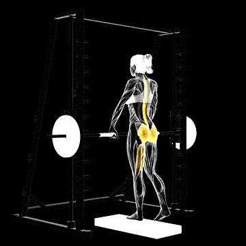 Smith One-Leg Deadlift demonstration