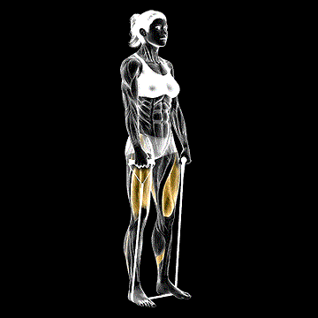 Band Deadlift demonstration