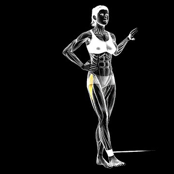 Band Hip Abduction demonstration