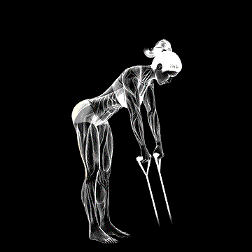 Band Hip Extension demonstration