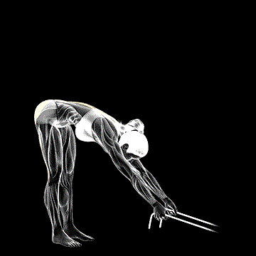 Band Hyperextension demonstration