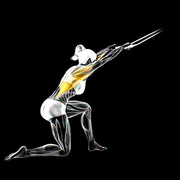 Band Kneeling Pulldown demonstration