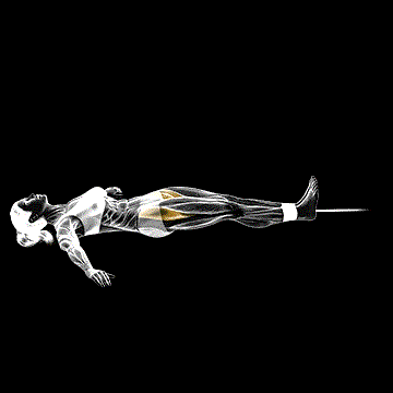 Band Lying Leg Raise demonstration