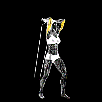 Band Overhead Triceps Extension demonstration