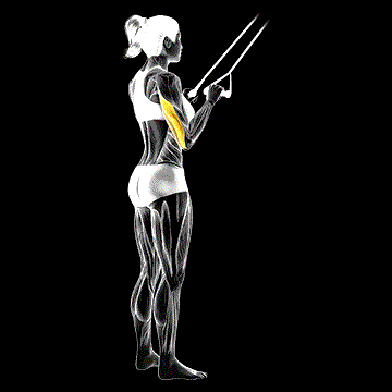Band Pushdown demonstration