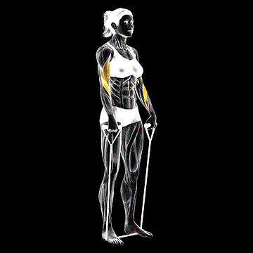 Band Reverse Curl demonstration