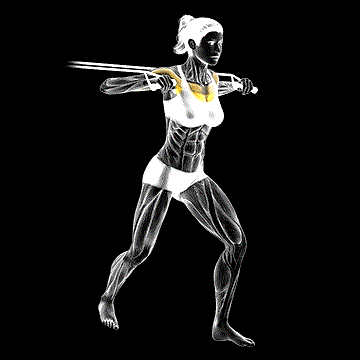 Band Standing Chest Press demonstration