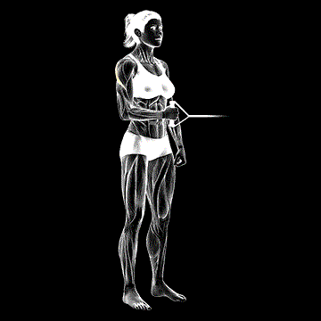 Band Standing External Shoulder Rotation demonstration