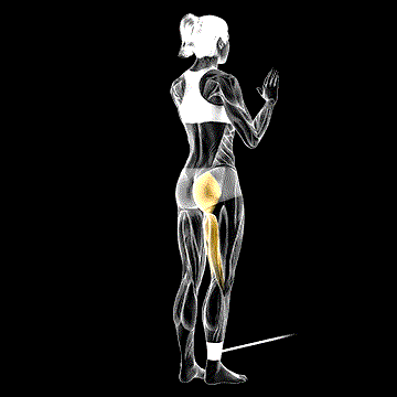 Band Standing Hip Extension demonstration