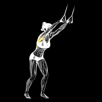 Band Straight demonstration