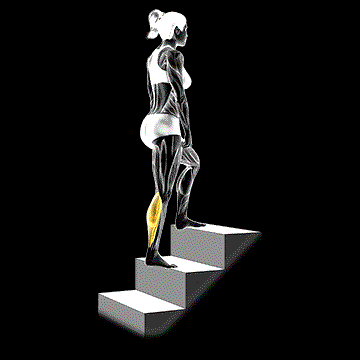 Calf Stretch demonstration