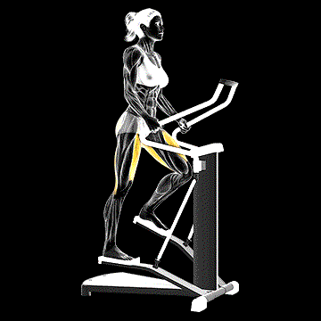 Lever Stepper demonstration