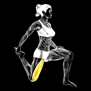 Quadriceps Stretch demonstration