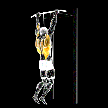 Band-Assisted Pull-Up demonstration