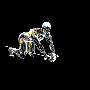 Band-Assisted Wheel Rollout demonstration