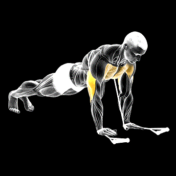 Band Close-Grip Push-Up demonstration
