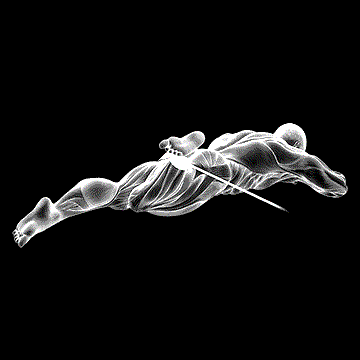 Band Lying Hip External Rotation demonstration