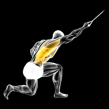 Band Kneeling One-Arm Pulldown demonstration