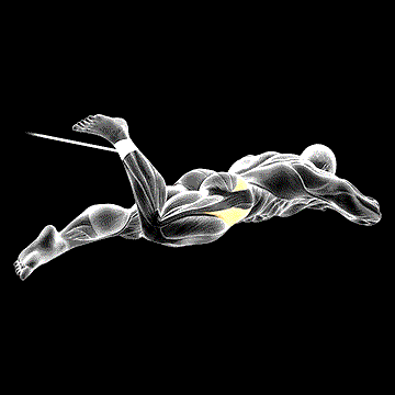 Band Lying Hip Internal Rotation demonstration
