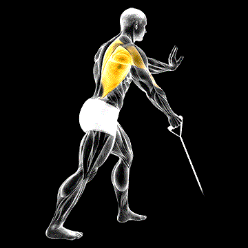 Band One-Arm Standing Low Row demonstration