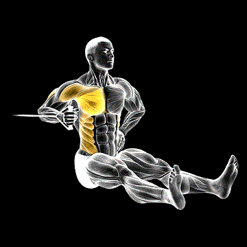 Band One-Arm Twisting Chest Press demonstration