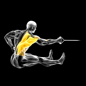 Band One-Arm Twisting Seated Row demonstration