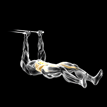 Band Push Sit-up demonstration