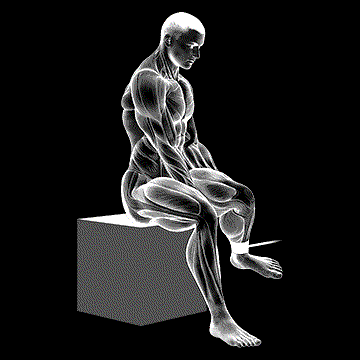 Band Seated Hip External Rotation demonstration