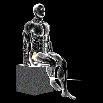 Band Seated Hip Internal Rotation demonstration