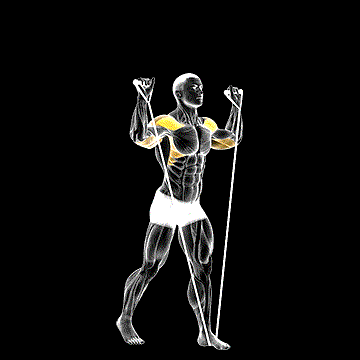 Band Shoulder Press demonstration