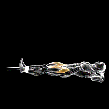 Band Lying Straight Leg Raise demonstration