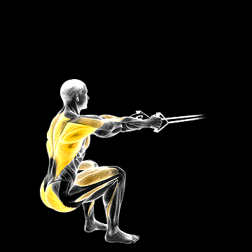 Band Squat Row demonstration