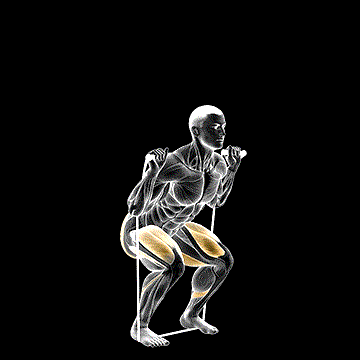 Band Squat demonstration