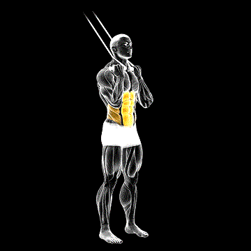 Band Standing Crunch demonstration