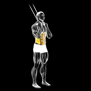 Band Standing Twisting Crunch demonstration