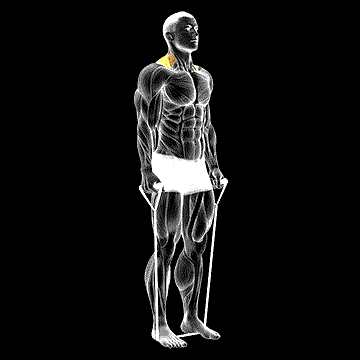 Band Shrug demonstration