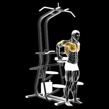 Assisted Standing Triceps Dip demonstration
