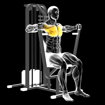 Lever Parallel Chest Press demonstration