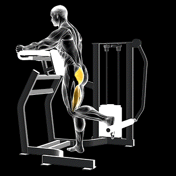 Lever Standing Hip Extension demonstration
