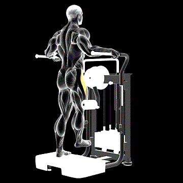 Lever Side Hip Abduction demonstration
