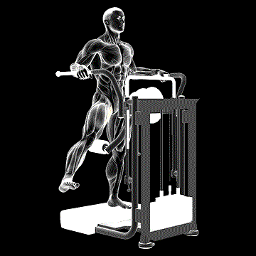 Lever Side Hip Adduction demonstration