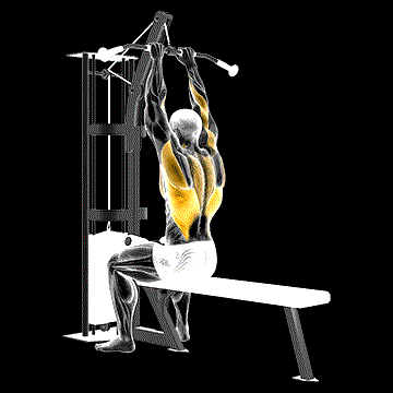 Cable Close-Grip Front Lat Pulldown demonstration