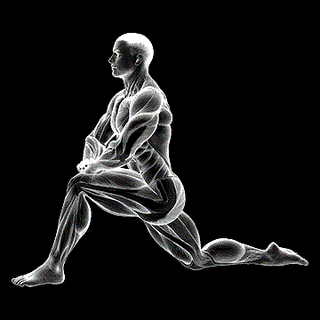 Kneeling Hip Flexor Stretch demonstration