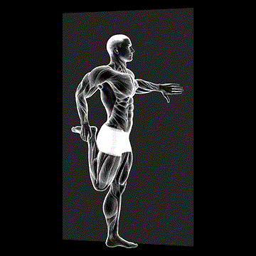 Standing Quadriceps Stretch demonstration
