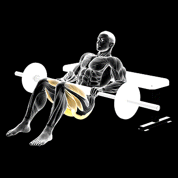 Barbell Hip Thrust demonstration