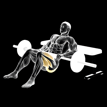 Barbell One-Leg Hip Thrust demonstration