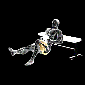 Weighted One-Leg Hip Thrust demonstration
